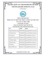 Tiểu luận giữa kỳ pháp luật về thuế thu nhập cá nhân tại việt nam   lý luận và thực tiễn