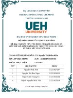 Đề tài nghiên cứu tác Động của già hóa dân số Đến tốc Độ Điều chỉnh cấu trúc vốn của các công ty niêm yết của việt nam