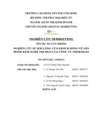 Nghiên cứu sự hài lòng của khách hàng về sản phẩm kem nghệ trị mụn của công ty thorakao
