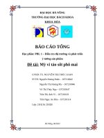 Điều tra thị trường và phát triển Ý tưởng sản phẩm Đề tài mỳ vi tảo sốt phô mai
