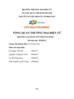 Tổng quan thương mại Điện tử trường cao Đẳng fpt polyte thương hiệu nàng biển
