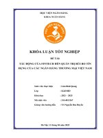 Khóa luận tốt nghiệp Ngân hàng: Tác động của Fintech đến quản trị rủi ro tín dụng của các ngân hàng thương mại cổ phần Việt Nam