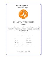 Khóa luận tốt nghiệp Ngân hàng: Các nhân tố ảnh hưởng đến rủi ro tín dụng của các ngân hàng thương mại trong bối cảnh chuyển đổi số tại Việt Nam