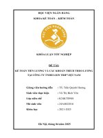 Khóa luận tốt nghiệp Kế toán kiểm toán: Kế toán tiền lương và các khoản trích theo lương tại Công ty TNHH Lion Trip Việt Nam