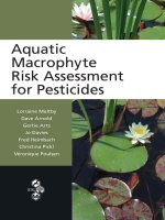 Aquatic macrophyte risk assessment for pesticide