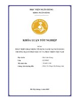 Khóa luận tốt nghiệp Ngân hàng: Phát triển hoạt động tín dụng xanh tại Ngân hàng Thương mại cổ phần Đầu tư và Phát triển Việt Nam