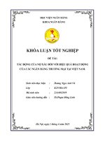 Khóa luận tốt nghiệp Ngân hàng: Tác động của nợ xấu đối với hiệu quả hoạt động của các ngân hàng thương mại tại Việt Nam