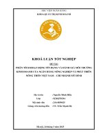 Khóa luận tốt nghiệp Quản trị kinh doanh: Phân tích hoạt động tín dụng và đánh giá môi trường kinh doanh của Ngân hàng Nông nghiệp và Phát triển Nông thôn Việt Nam – Chi nhánh Mỹ Đình
