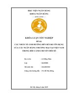 Khóa luận tốt nghiệp Ngân hàng: Các nhân tố ảnh hưởng đến rủi ro tín dụng của các ngân hàng thương mại tại Việt Nam trong bối cảnh chuyển đổi số