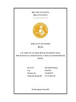Khóa luận tốt nghiệp Ngân hàng: Các nhân tố tác động đến quyết định sử dụng thẻ tín dụng của khách hàng cá nhân tại thành phố Hải Phòng