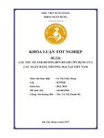 Khóa luận tốt nghiệp Ngân hàng: Các yếu tố ảnh hưởng đến rủi ro tín dụng của các ngân hàng thương mại tại Việt Nam