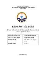 Báo cáo tiểu luận băng tải vận chuyển sản phẩm