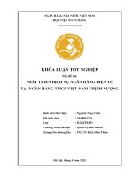 Khóa luận tốt nghiệp Quản trị kinh doanh: Phát triển dịch vụ ngân hàng điện tử tại Ngân hàng TMCP Việt Nam Thịnh Vượng