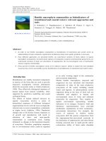 Benthic macrophyte communities as bioindicators of transitional and coastal water