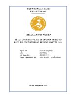 Khóa luận tốt nghiệp Ngân hàng: Các nhân tố ảnh hưởng đến rủi ro tín dụng tại các ngân hàng thương mại Việt Nam