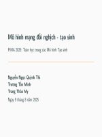 Dự án nhóm-Slides