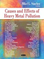 Causes and effects of heavy metal pollution
