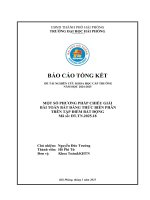 Đề tài nghiên cứu khoa học cấp Trường: Một số phương pháp chiếu giải bài toán bất đẳng thức biến phân trên tập điểm bất động