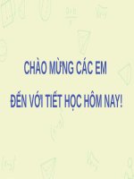 powerpoint bai8 mau so lieu ghep nhom sgk toán KNTT