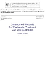 Constructed wetlands