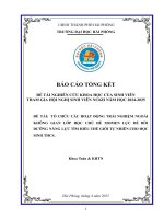 Đề tài nghiên cứu khoa học: Tổ chức các hoạt động trải nghiệm ngoài không gian lớp học chủ đề Momen lực để bồi dưỡng được năng lực tìm hiểu thế giới tự nhiên cho học sinh THCS