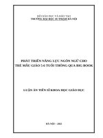 Phát triển năng lực ngôn ngữ cho trẻ mẫu giáo 5-6 tuổi thông qua Big book