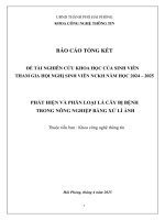 Đề tài nghiên cứu khoa học: Phát hiện và phân loại lá cây bị bệnh trong nông nghiệp bằng xử lý ảnh