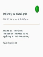 Dự án nhóm-Slides