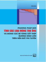 Phương Pháp Mới Tính Các Loại Móng Trụ Ống Và Móng Cọc Bê Tông Cốt Thép Đường Kính Lớn Trên Nền Đất Phi Tuyến - Trần Bình