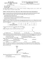 Đề thi thử tn thpt 2025   cấu trúc mới   môn hóa học   Đề 7   file word có lời giải
