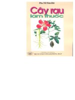 Cây rau làm thuốc