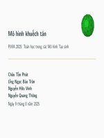 Dự án nhóm-Slides