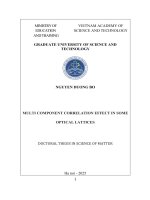 Tóm tắt tiếng anh hiệu Ứng tương quan Đa thành phần trong một số mạng quang học