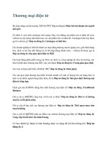 Trắc nghiệm Thương Mại Điện Tử -  Đại Học Trà Vinh