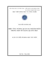 Hiệu Ứng tương quan Đa thành phần trong một số mạng quang học