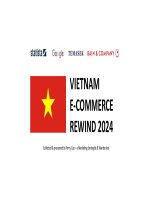 Vietnam e commerce rewind 2024 1736571872