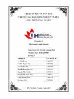 IUH | Tiểu luận nhóm | McDonald's and Obesity