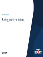 Banking industry in vietnam