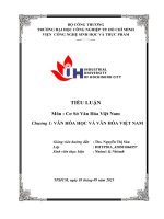 IUH | Tiểu luận môn Cơ sở văn hóa Việt Nam | Chương 1: VĂN HÓA HỌC VÀ VĂN HÓA VIỆT NAM