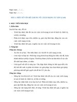 Giáo Án lịch sử 11 sách ctst