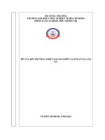 IUH | Tiểu luận môn pháp luật về bồi thường thiệt hại ngoài hợp đồng | BỒI THƯỜNG THIỆT HẠI DO NHIỀU NGƯỜI CÙNG GÂY RA