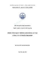 Đồ Án Tốt Nghiệp Phân Tích Quy Trình Gom Hàng Lẻ Tại Công Ty Cổ Phần Proship.pdf