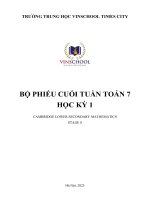 Bộ phiếu cuối tuần hki môn toán cambridge lớp 7 hệ chuẩn vinschool