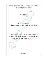 Hoàn thiện công tác quản trị nguồn nhân lực tại công ty cảng   chi nhành tổng công ty Đông bắc, tỉnh quảng ninh
