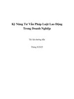 Kỹ năng tư vấn pháp luật lao Động trong doanh nghiệp
