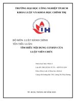IUH | Tiểu luận Luật hành chính | TÌM HIỂU NỘI DUNG CƠ BẢN CỦA LUẬT VIÊN CHỨC