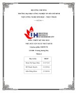 IUH | Tiểu luận môn Thiết kế nhà máy | NHÀ MÁY SẢN XUẤT NECTAR ỔI
