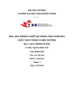 IUH | Tiểu luận QUÁ TRÌNH & THIẾT BỊ TRONG CÔNG NGHÊ HÓA CHẤT THỰC PHẨM VÀ MÔI TRƯỜNG | BÀI 1: QUÁ TRÌNH CÔ ĐẶC