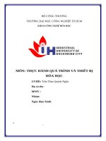 IUH | TIỂU LUẬN THỰC HÀNH QUÁ TRÌNH VÀ THIẾT BỊ HÓA HỌC | BÀI  9: CỘT CHÊM