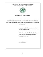 Nghiên cứu tri thức bản Địa của dân tộc k'ho về thực vật Ăn Được tại ban quản lý rừng phòng hộ nam ban, tỉnh lâm Đồng